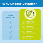 Best Pet Supplies Voyager Escape Proof Cat Harness and Leash Set with Reflective Stitching, Neoprene Handle 5ft - Supports Small, Medium and Large Cats, Kittens - Lime, M (Chest: 16.5-19.5")
