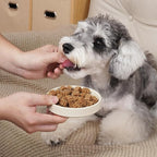 MON2SUN Grain-Free Soft Dog Treats, Gear-Shaped Training Treats for Puppy to Senior, Chicken Flavor, Low Calorie & Gluten-Free, 21.2 oz
