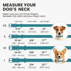 BRONZEDOG Rolled Leather Dog Collar for Small Medium Large Dogs with QR ID Tag (XS: 9-11 Inch, Teal)