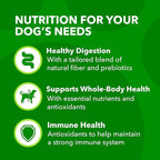 IAMS Proactive Health Minichunks Adult Dry Dog Food with Lamb & Rice, 15 lb. Bag