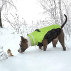 Lelepet Dog Coat Warm Dog Winter Coat Waterproof Dogs Jacket with Harness Built in Reflective Pet Fleece Vest Zip-Up Cold Weather Coats for Large Dogs Turtleneck & Windproof Coats Boston Terrier Lime