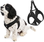 Gooby Escape Free Easy Fit Harness - Black, X-Small - No Pull Step-in Patented Small Dog Harness with Quick Release Buckle - Perfect On The Go No Pull Harness for Small Dogs or Medium Dog Harness