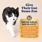 Solid Gold High Protein Dry Cat Food - Grain Free & Gluten Free Chicken Cat Dry Food w/Probiotics for Gut Health & Digestion - High Fiber & Omega 3 - Low Carb Superfood Kibble for Cats All Ages - 6LB