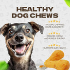 Dog Treats, Chicken Wrapped Calcium Bones Rawhide Free Dog Chews Long Lasting Chicken Training Treats Teeth Cleanning Chewy Snacks for Medium and Large Breed 10.54oz/19-20pcs