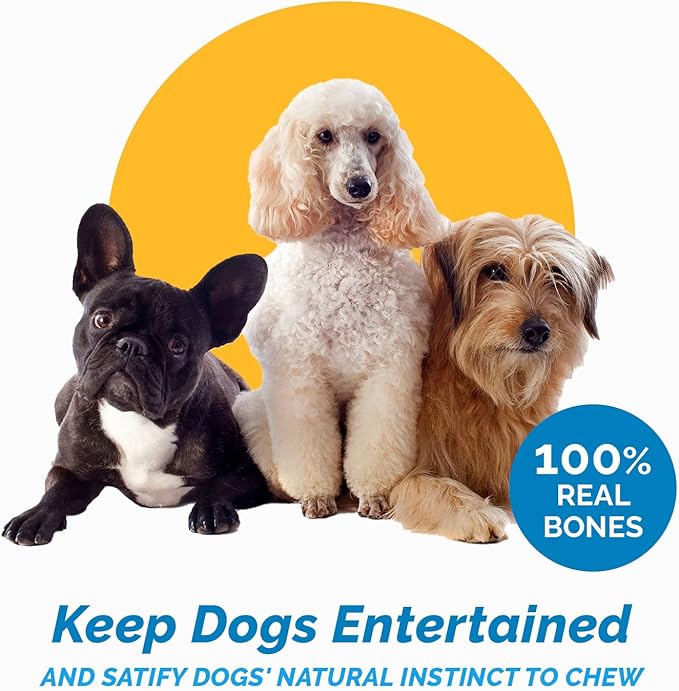 123 Treats Meaty Dog Bones, 100% Natural Knee Cap Beef Bone Dog Treats, No Additives, Made from Premium USA Grass Fed Beef, Tasty Long Lasting Chews for Dogs, Improve Oral Health, Pack of 3