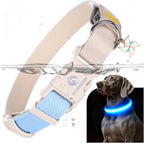 DOGWONG LED Dog Collar - Heavy Duty Light up Collars - Rechargeable Waterproof - Lighted Dog Collar for Night Walking, Hiking, Camping(Blue,M)