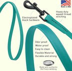 Dogline Biothane Waterproof Dog Leash Strong Coated Nylon Webbing with Black Hardware Odor-Proof Easy to Clean High Performance for Small or Large Dogs Made in USA 2 ft Lead, Blue Aqua