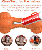 SCHITEC Two Squeaky Dog Chew Toy for Aggressive Chewers Large Breed, Tough Indestructible Rubber Bone with Toothbrush for Big Medium Dogs Teeth Cleaning, Blue and Orange
