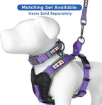 Pawtitas Personalized Dog Leash - Embroidered Custom Name & Phone Number, Reflective, 6 ft Long, Small, Purple Custom Tag