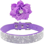 Serijoars Small Dog Collar with Rhinestone Crystal Diamond Colorful Bling Girl Puppy Cat Collars (XXS, Purple6)