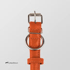 CollarDirect Rolled Leather Dog Collar, Soft Padded Round Puppy Collar, Handmade Genuine Leather Collar Dog Small Large Cat Collars 13 Colors (6-7 Inch, Orange Textured)