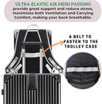 Lollimeow Cat Backpack Carrier, Ideal for Small Animals & Puppies, Airline Approved,Safe for Travel, Hiking, Vet Transport & Outdoor Use Fully Ventilated Design for Ultimate Comfort On-The-Go