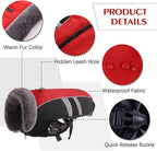 QBLEEV Warm Dog Coat Reflective Dog Winter Jacket, Waterproof Windproof Dog Turtleneck Clothes for Cold Weather Thicken Fleece Pet Dog Snowsuit Christmas Dog Vest Apparel for Small Medium Large Dogs M