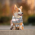 Dog Raincoat for Medium Dogs Waterproof Hooded Rain Jacket with Reflective Strips Leash Hole & Poncho Adjustable Fit (Plaid,M)