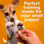 Fruitables Skinny Mini Dog Treats – Healthy, Low Calorie Training Treats – Wheat, Corn & Soy Free – Pumpkin Mango – 5 Ounces (Pack of 2)