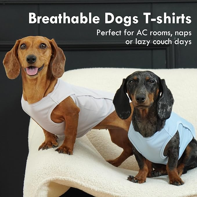 2 Pack Dog T-Shirt Quick Dry, Summer Breathable Cooling Vest, Sun Protection UPF50+ for Sensitive Skin, Stretchy Freedom of Movement for Walk, Blue+Grey, L