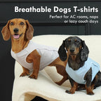 2 Pack Dog Shirt, Quick Dry Cooling T-Shirt for Summer Hot Day, Lightweight Sun Protection Dog Clothes for Boy Girl Easy to Put on, Blue+Grey, XL