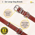 ADITYNA Heavy-Duty Leather Dog Collar for Large Dogs - Soft Padded for Comfort - Large Dog Collar for Walking, Training, and Hiking