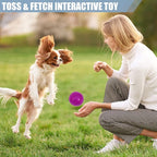 12Pack Squeaky Toys, 2.5" Spiky Ball, Cleans Teeth, Squeaky Balls for Aggressive Chewers, Bright Color Toys for Small, Medium & Large Dogs