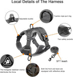 SOLMOONY Small Dog Harness,Soft Mesh Puppy Harness and Leash Set,No Escape Cat Harnesses for Training Walking,Reflective Adjustable Puppy Vest for Small Medium Dogs, Cats (Grey, M)