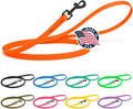 Dogline Biothane Waterproof Dog Leash 2/4/6 Ft Strong Coated Nylon Webbing with Black Hardware Odor-Proof Easy to Clean High Performance for Small or Large Dogs Made in USA, Hunter Orange