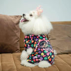 CuteBone Small Dogs Valentines Outfit Soft Puppy Onesies Pjs Dog Pajamas Pet Coat Cat Apparel Comfy Doggie Jumpsuit Bodysuit for All Seasons P272M