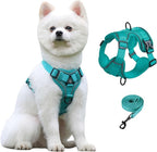 SOLMOONY Small Dog Harness,Soft Mesh Puppy Harness and Leash Set,No Escape Cat Harnesses for Training Walking,Reflective Adjustable Puppy Vest for Small Medium Dogs, Cats (Turquoise, L)