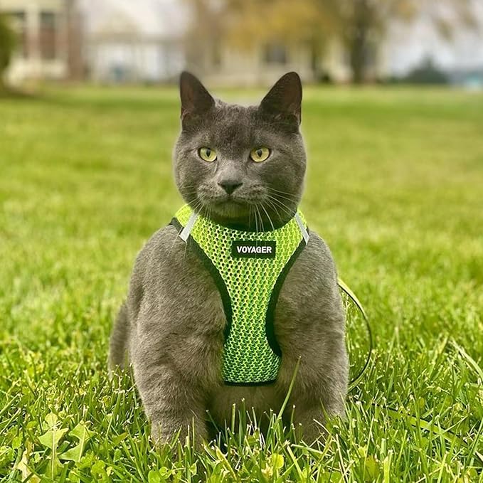 Best Pet Supplies Voyager Step-in Air Harness - All Weather Mesh, Reflective, No Pull Harness for Dogs, Cats - Secure with Hook & Loop Fastener, Buckle, Double D-Rings - Tone, L