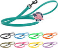 Dogline Biothane Waterproof Dog Leash Strong Coated Nylon Webbing with Black Hardware Odor-Proof Easy to Clean High Performance for Small or Large Dogs Made in USA 4 or 6 ft Lead, Blue Aqua