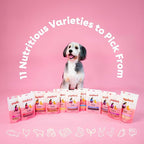 Pupford Freeze Dried Training Treats for Dogs & Puppies, 1400+ Two Ingredient Bites (Chicken, 4 oz, 3 Pack)