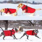 Doglay 2 in 1 Dog Coat with Harness Built-in, Waterproof Dog Winter Jacket with Pocket & Poop Bags, Reflective Adjustable Pet Winter Coat for Small, Medium, Large Dogs