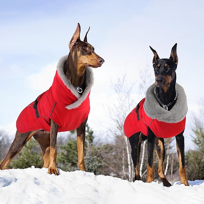 Dog Coat, Waterproof Dog Winter Jacket with Adjustable Buckle, Reflective Turtleneck Pet Snow Vest Warm Fleece Sweater for Small Medium Large Dogs - Red, M