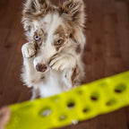 Messy Mutts Totally Pooched Huff'n Puff Stick | 10” x 2” TPR Puzzle Stick for Dogs | 2-in-1 Durable Interactive Toy and Tooth Cleaner | Green