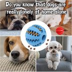 Dog Treat Toy Ball, Dog Tooth Cleaning Toy, Interactive Dog Toys 2.8" Pack of 2