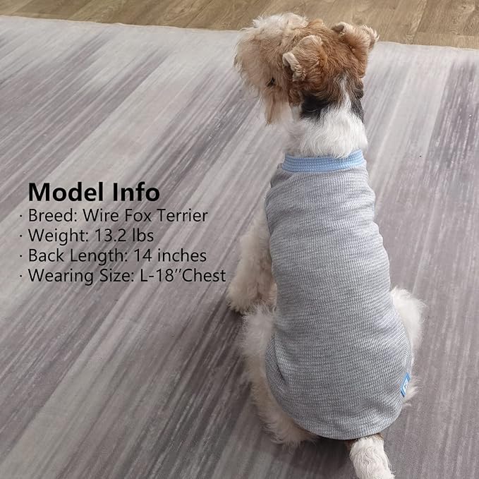 KYEESE 2Pack Dog Shirts Waffle for Small Dogs Stretchy T-Shirts Lightweight Tank Top Sleeveless Vest Breathable Cat Tee, Small, Blue+Grey
