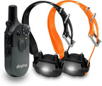 Dogtra 200iQ 2-Dog Remote Training E Collar – 100 Levels, Tone, Vibration, 1/2 Mile Range – Compact, Waterproof, One-Handed Control for Dogs 10 lbs+ – Lightweight System for Daily Obedience Training