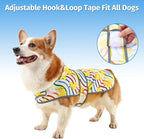 Dog Raincoat for Large Dogs, Waterproof Rain Jacket Coat with Hood and Leash Hole, Polyester, Rainbow Ducks
