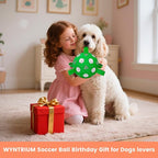 Dog Soccer Ball with Tabs, Durable Dog Soccer Ball, Puppy Water Toys Outdoor, Birthday Toys for Small & Medium Dogs, 6 Inch