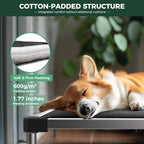 FXW TitanNest Chew-Proof Elevated Dog Bed, Raised Cot for Indoor/Outdoor/Camping Use, Durable & Washable Padded Pet Bed with Exclusive Cover for Toy Dogs, 23.0" L x 17.0" W x 4.5" H, Black