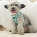 AIITLE Small Harness for Puppy with A Leash - Summer Dog Vest Harness with Super Breathable Mesh, Reflective No-Pull Pet Harness for Outdoor Walking, Camping for Small Dogs, Cats Turquoise XXS