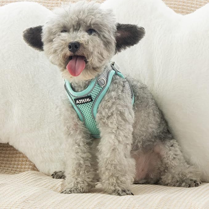 AIITLE Small Harness for Puppy with A Leash - Summer Dog Vest Harness with Super Breathable Mesh, Reflective No-Pull Pet Harness for Outdoor Walking, Camping for Small Dogs, Cats Turquoise XXS