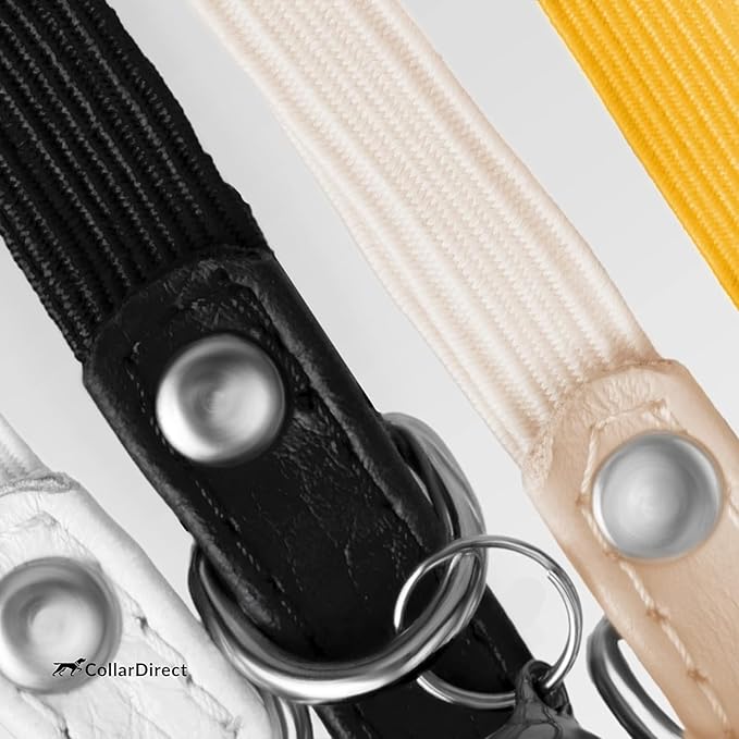 CollarDirect Leather Cat Collar, Cat Safety Collar with Elastic Strap, Kitten Strap with Bell Black Blue Red Orange Lime Green (6-7 Inch, Black)