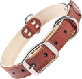 ADITYNA Heavy-Duty Leather Dog Collar for Small Dogs - Soft Padded for Comfort - Small Dog Collar for Walking, Training, and Hiking