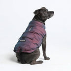 Spark Paws Dog Winter Jacket, Water-Resistant Coat, Warm Reflective Windproof Fleece-Interior, for Medium and Large Dogs - Cosmic - 3XL