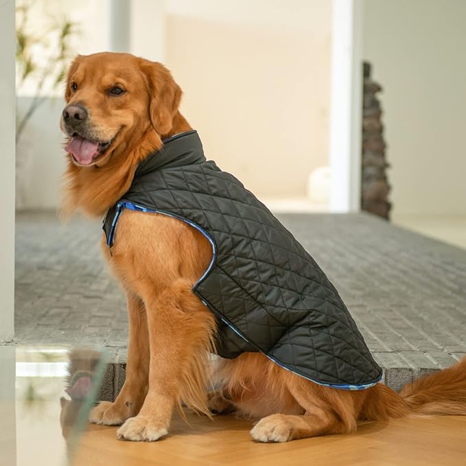 CuteBone Winter Dog Coat & Vest - Waterproof, Windproof, Soft Thick Jacket with Leash Hole for Small, Medium, Large Dogs