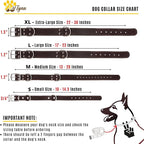 ADITYNA Heavy Duty Leather Dog Collar for Large Dogs - Soft and Strong Leather Collar for Walking, Training, Hunting, and Running (Large: Fit 17" - 23" Neck, Brown)