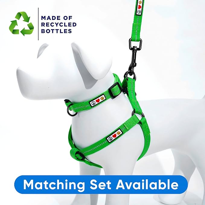 Pawtitas 6 FT Recycled Dog Leash With Reflective Stitched Thread - Medium, Made From Plastic Bottles Collected From Oceans - Green