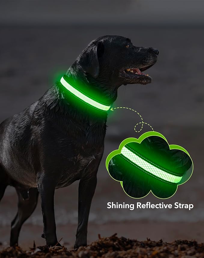 Weesiber Light Up Dog Collar - LED Dog Collar Rechargeable Glow in The Dark Reflective Pet Collar, Safety Doggy Lights for Night Walking(Green, M)