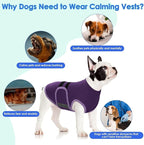 MIGOHI Dog Anxiety Relief Coat,Comfort Anxiety Vest for Dogs,Adjustable Dog Anxiety Calming Wrap for Fireworks,Thunderstorms,Travel, Separation, Anxiety Jacket for Large Dogs,L,Purple