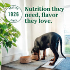 Nutro Ultra Large Breed Puppy Dry Dog Food, Chicken, Lamb and Salmon Protein Trio, 22 lb Bag
